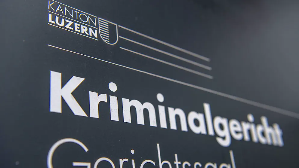 Il pensionato, il cui rischio di recidiva è stato considerato molto alto, è stato condannato a 8 anni e 11 mesi di reclusione e all'internamento semplice.