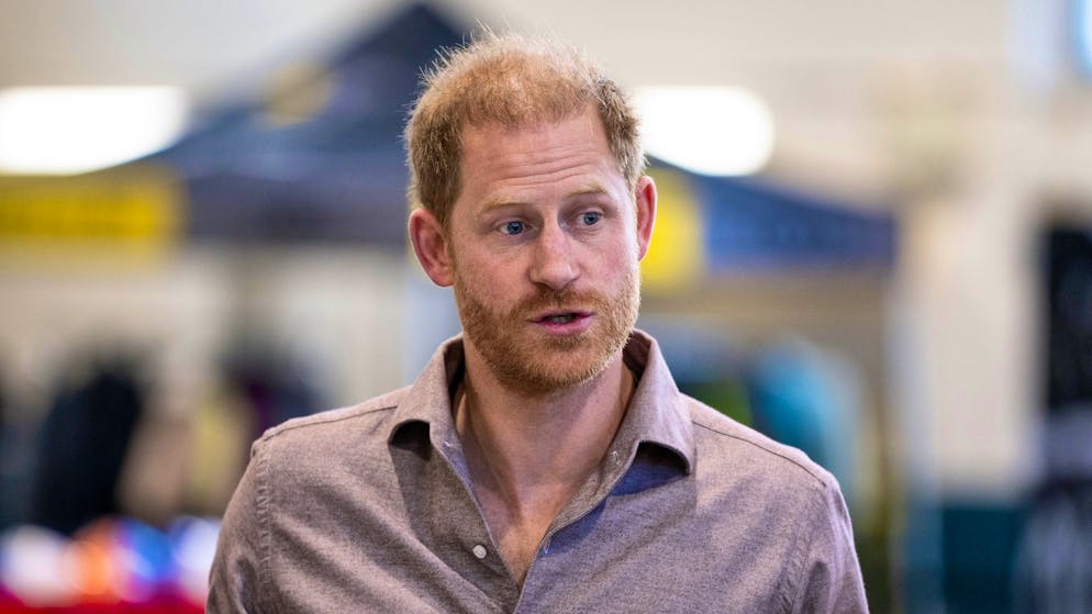 Il principe Harry, duca di Sussex, ha distrutto molte porcellane nella sua patria britannica.