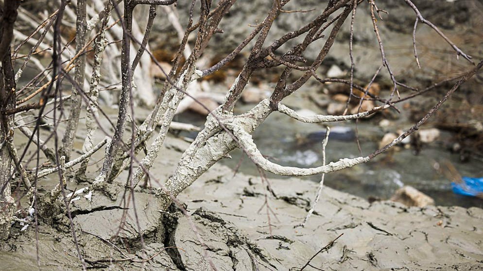 Depositi di sabbia e sedimenti sulle rive del fiume Dranse ( foto di marzo 2024)