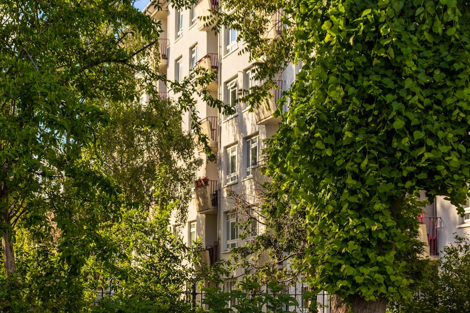 Plus de verdure, moins de pollution La recette pour une meilleure santé en ville