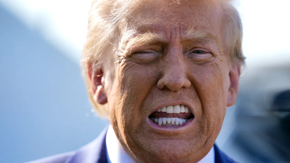 Un désengagement américain de l'Otan, dont le président élu Donald Trump a de nouveau brandi la menace dimanche, laisserait un vide que les Européens ne pourraient combler. 