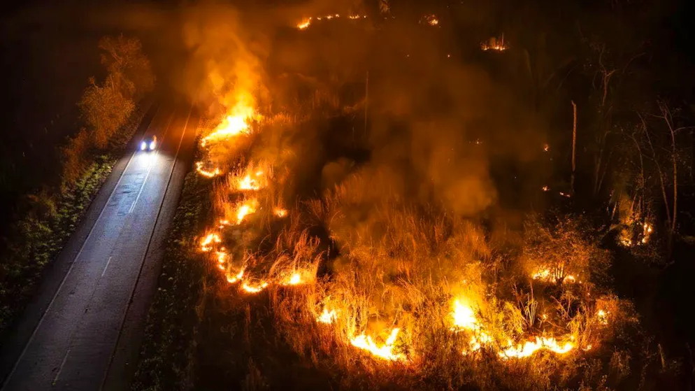 Some fires this year reached "historic dimensions" according to the EU Copernicus program. (archive image)