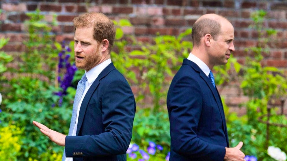 Prince Harry (40, left) and his brother Prince William (42) avoid making joint appearances. (archive picture)