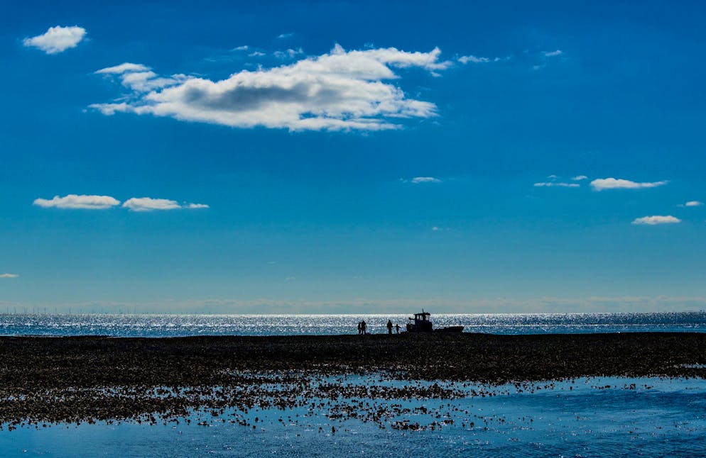 Temperatursprung durch weniger Wolken - Gallery. Im vergangenen Jahr gab es weniger niedrige Wolken als in den Jahren zuvor. (Archivbild)
