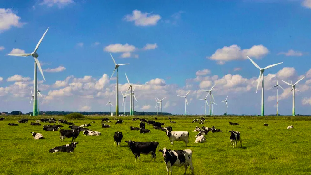 Wind power is the most important source of energy in Germany with a share of almost 25 percent. (archive picture)