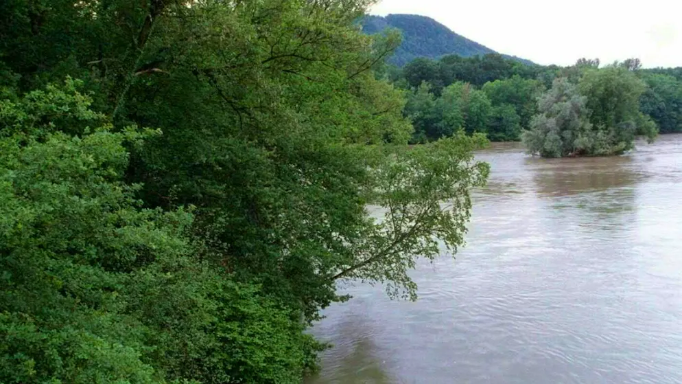 Im Wasserkanton Aargau sollen unter anderem mehr Feuchtgebiete zur Sicherung und Stärkung der Biodiversität geschaffen werden. Das Bild zeigt die Mündung der Reuss in die Aare in Windisch AG. (Archivbild)