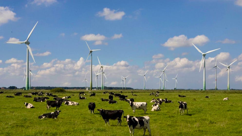 Windkraft ist in Deutschland mit einem Anteil von knapp 25 Prozent der wichtigste Energieträger. (Archivbild)