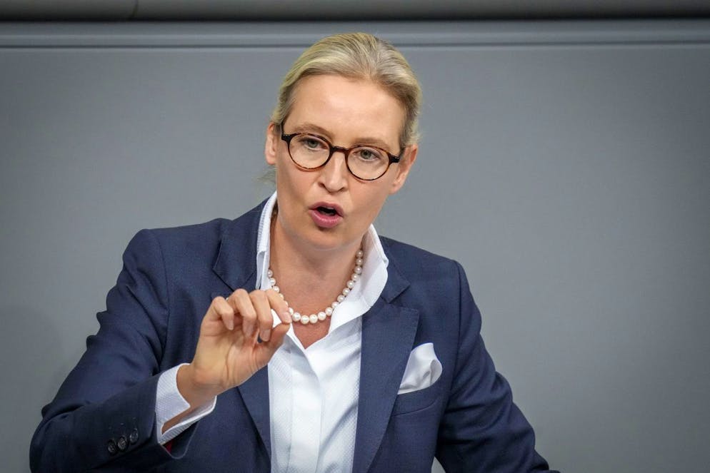 Alice Weidel hält am 13. November eine Rede im Berliner Bundestag.