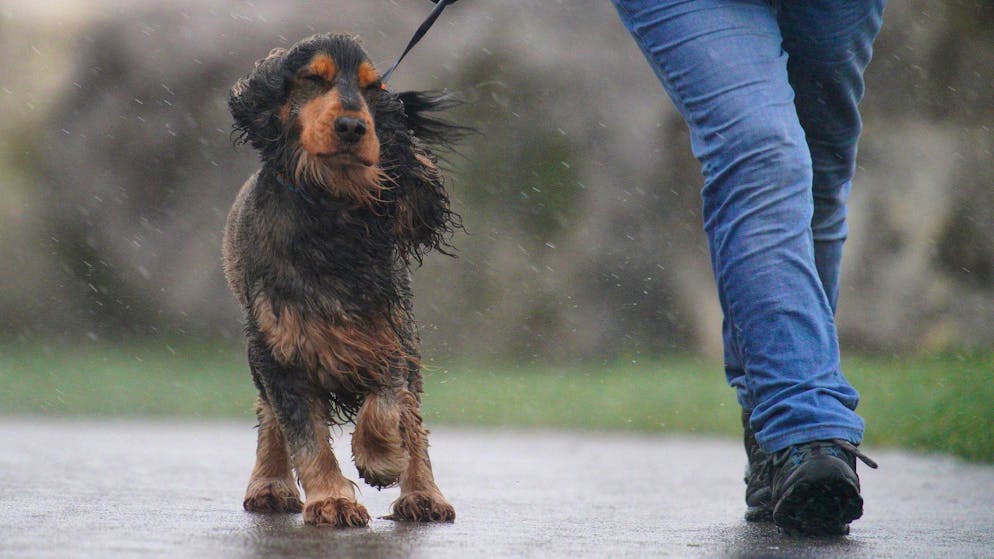 Ein Toter bei Sturm in England – Viele Haushalte ohne Strom - Gallery. In Teilen von Wales galt die stärkste Wetterwarnung: «Lebensgefahr».