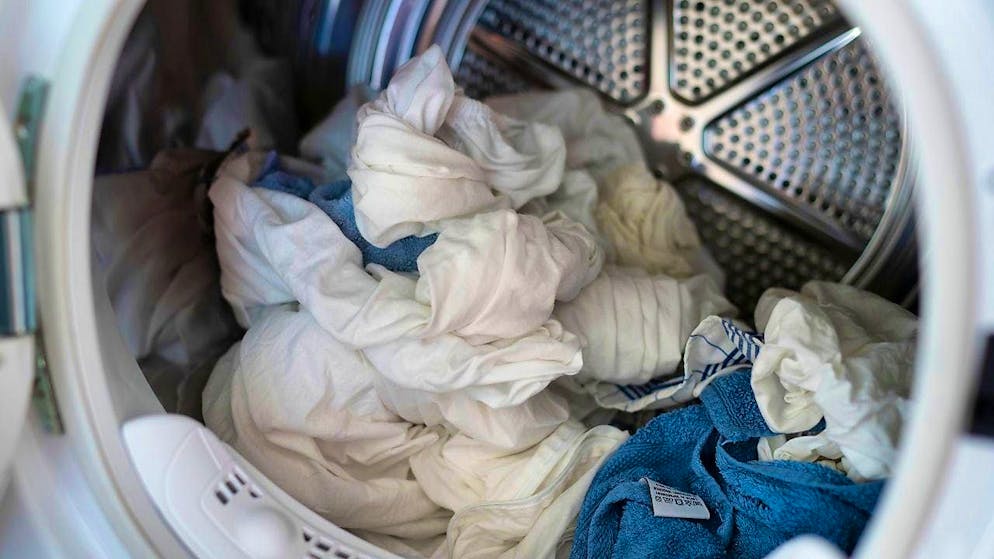 Terry towels, tennis shoes and teddy bears: What can you tumble dry? (archive picture)