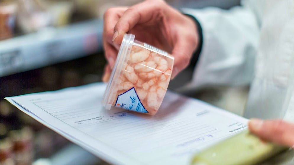 Meeresfrüchte enthalten Arsenobetain, welches durch Darmbakterien in giftige Arsenverbindungen umgewandelt werden kann. (Archivbild)