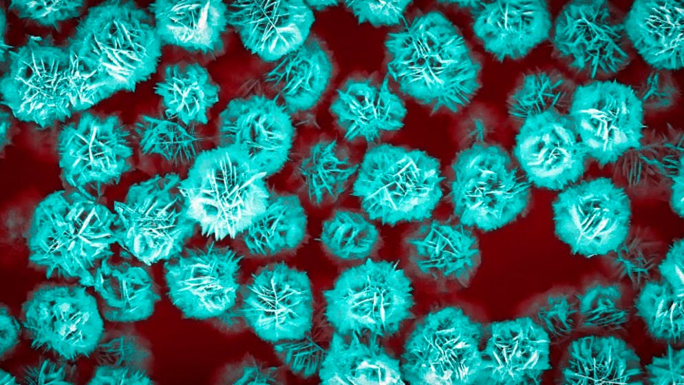 Dank ihrer Struktur können diese "Sandrosen" viel mehr Wirkstoffe transportieren als Gasbläschen.