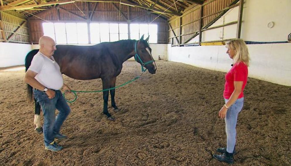 «Bauer sucht Frau»: Pferdeflüsterer Heiner läuft Frau nach zwei Tagen davon. Ulrike zu Heiner: «Du bist ein Pferdeflüsterer, aber du bist kein Frauenflüsterer.»