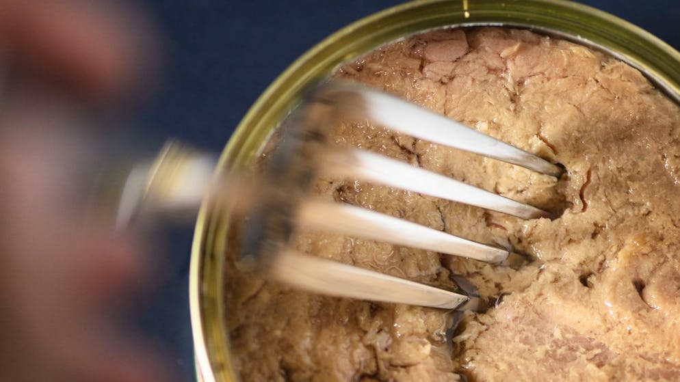 Fast alle Thunfisch-Dosen enthalten Quecksilber. Das giftige Schwermetall ist vor allem für Kinder gefährlich. Es kann schwere neurologische Störungen verursachen.