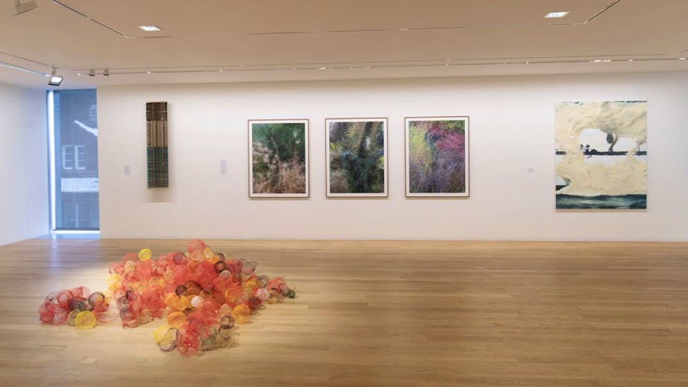 Die Ausstellung Cantonale Berne Jura bietet Besuchenden, wie hier im Burgdorfer Gertsch-Museum, einen breiten Überblick über das aktuelle Kunstschaffen in der Region.