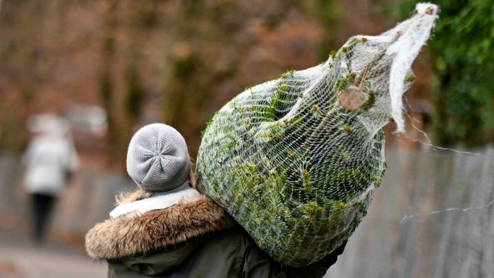 A Natale l'albero crea un'atmosfera speciale.