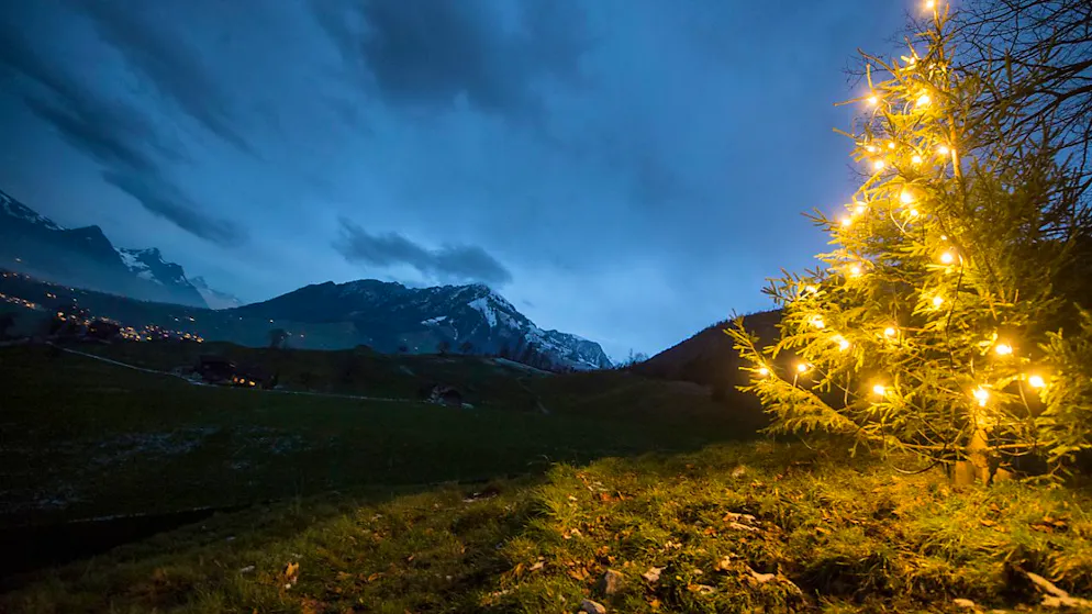 Anche per quest'anno si prevede un Natale verde, almeno in pianura, secondo i meteorologi