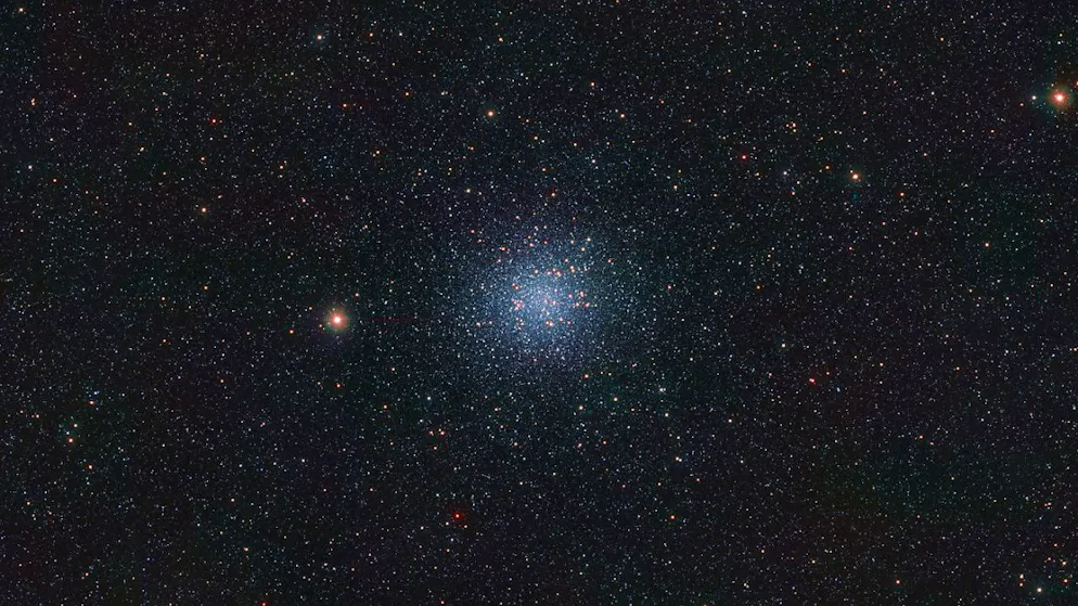 Rispetto a quanto avviene sulla Terra, nello spazio le cellule si dispongono autonomamente perché non c'è l'interferenza della gravità. (Foto simbolica)