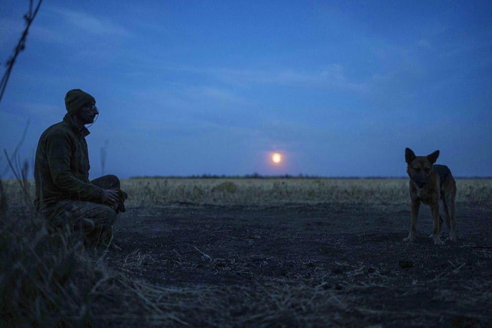 Un militare ucraino della 110a brigata accarezza i cani nella sua posizione in prima linea in direzione di Pokrovsk (foto d'archivio).