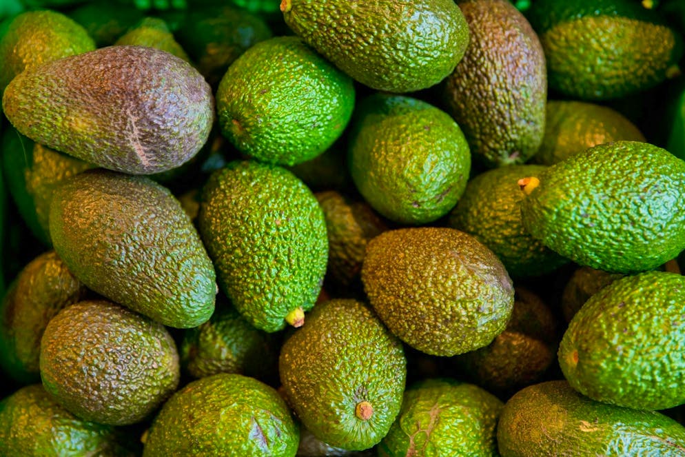 Because avocados need a warm climate, they often travel thousands of kilometers before they end up in consumers' shopping baskets in local supermarkets.