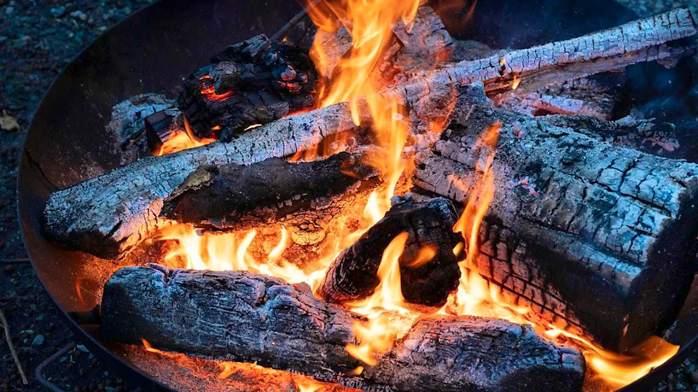 Around 40 percent of the wood felled in Switzerland is burned directly. (archive picture)