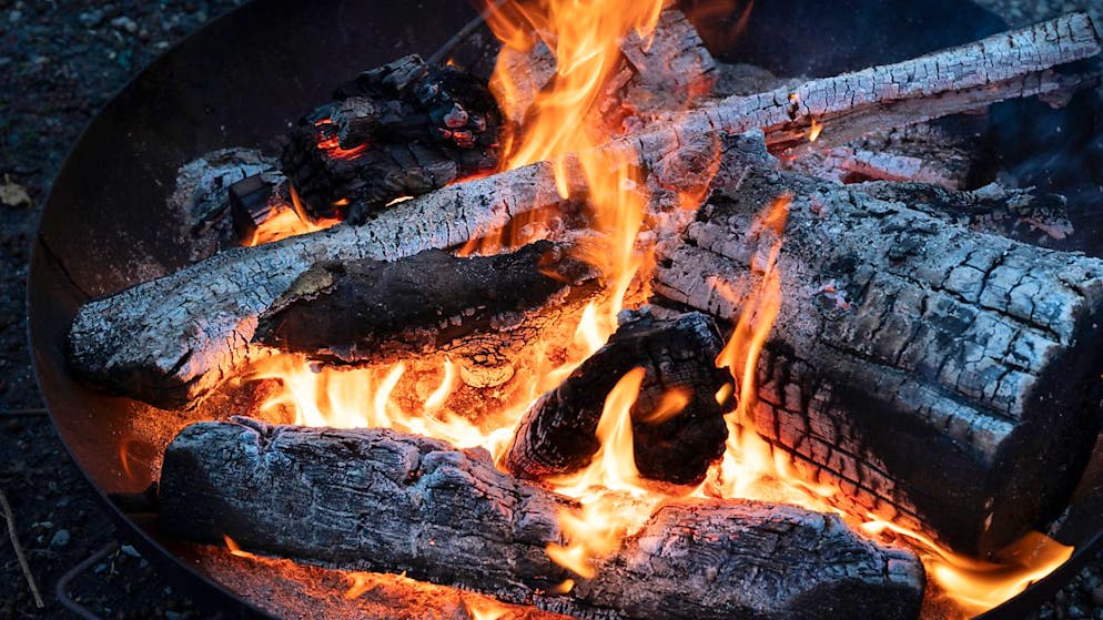 Rund 40 Prozent der Holzes, das in der Schweiz gefällt wird, wird direkt verbrannt. (Archivbild)