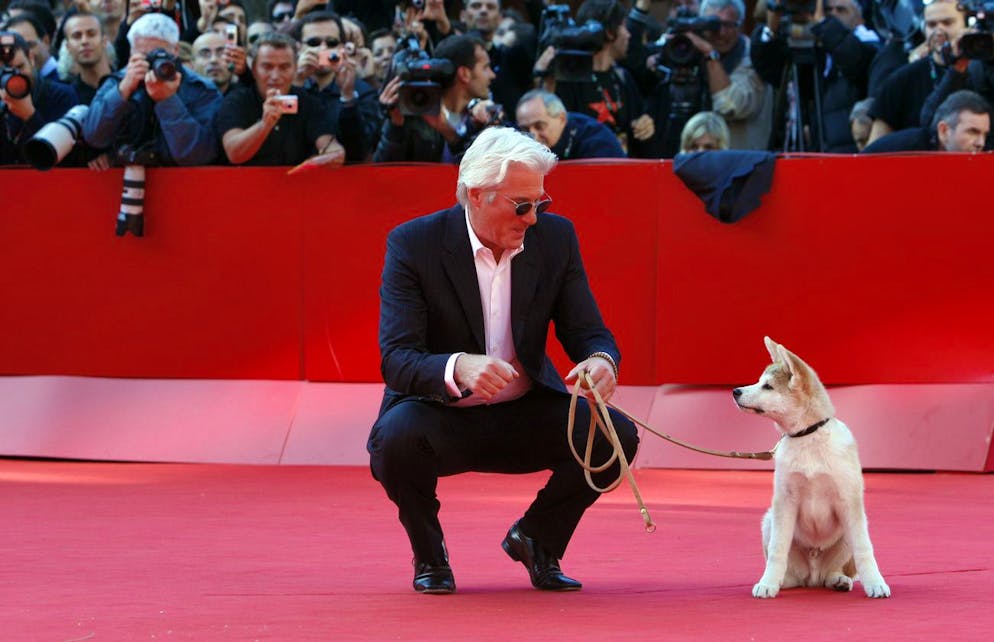 Hachiko. Die Geschichte des treuen Hachiko wurde mit Richard Gere in der Hauptrolle verfilmt. 
