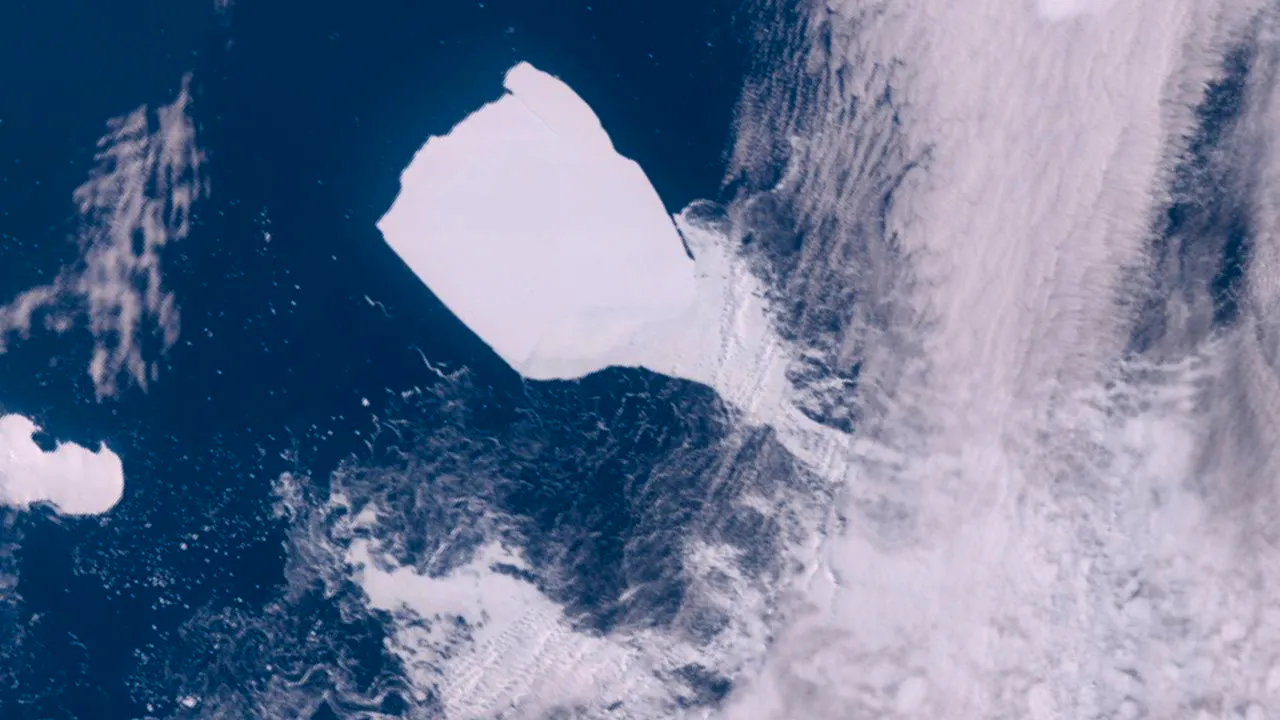 Nature. The world's largest iceberg is heading north
