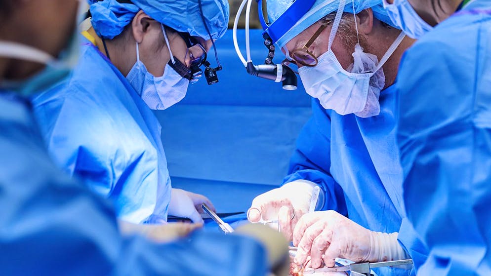 L'opération constitue une "avancée prometteuse d'une pratique chirurgicale émergente" qui pourrait répondre à la crise de l'approvisionnement en organe, selon l'équipe médicale.
