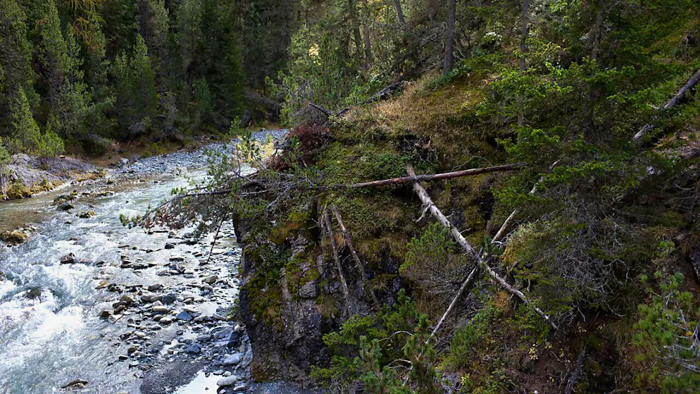 Die Sanierungsarbeiten im Spöl sollen 2026 beginnen. (Archivbild)