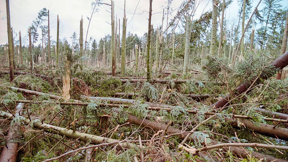 La tempête "Lothar" a occasionné plus d'un milliard de francs de dégâts (archives).