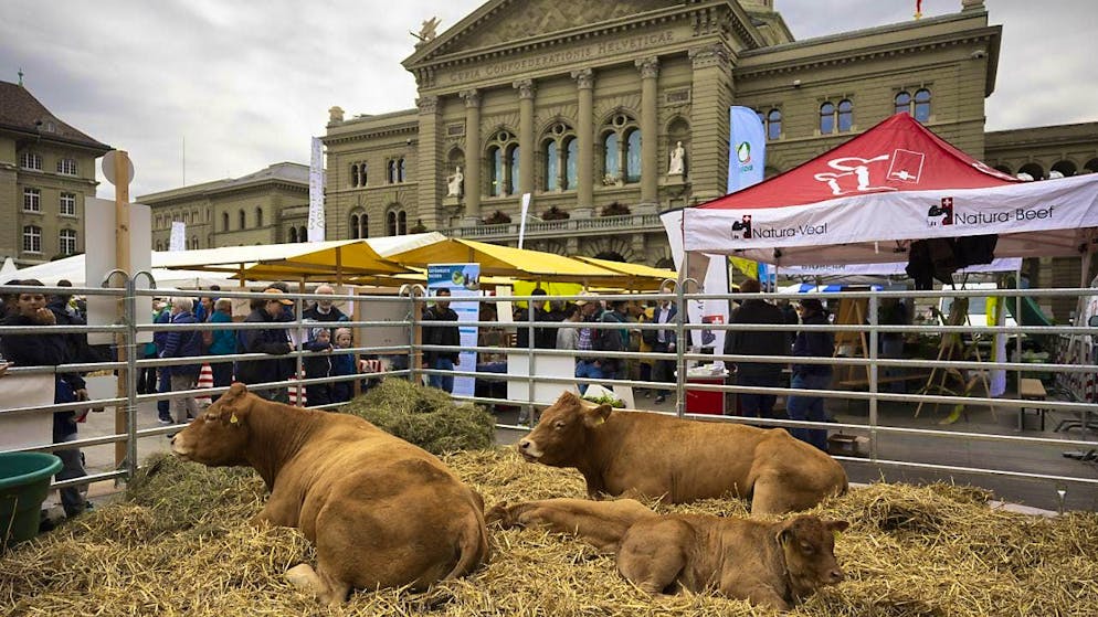 Farmers have made their voices heard in Parliament: federal subsidies are not to decrease between 2026 and 2029. (Archive image)