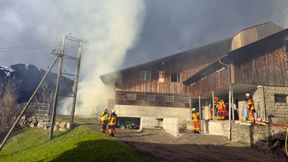 Am Mittwochmittag brach in einem Stall in Altdorf ein Feuer aus.