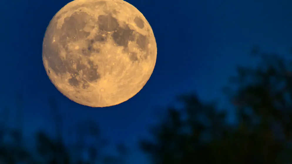 25 kilometers in diameter. Huge asteroid tore gorges into the far side of the moon