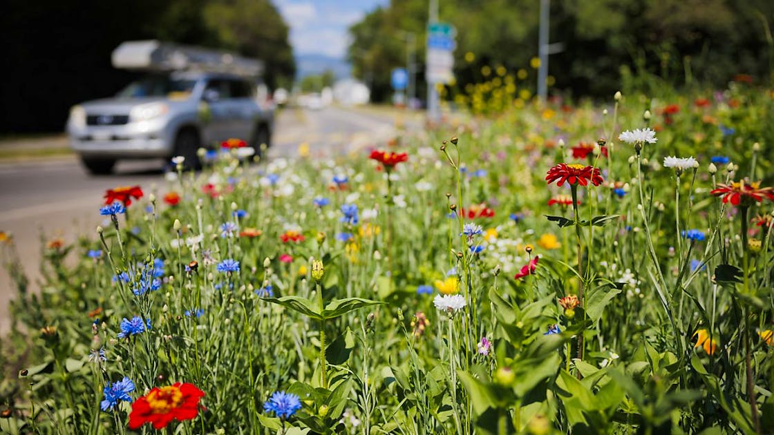 Science et technologie Le Conseil mondial de la biodiversité appelle à des changements