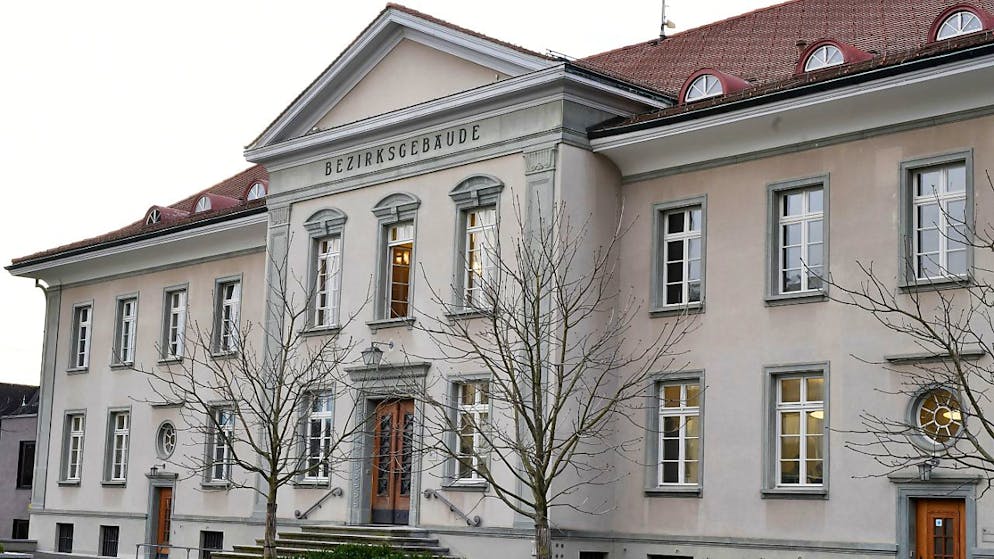 Am Bezirksgericht Bülach geht es heute um den roten Tigerkater Streifli. Er ertrank in einem Pool, der nicht abgedeckt war. (Archivbild)