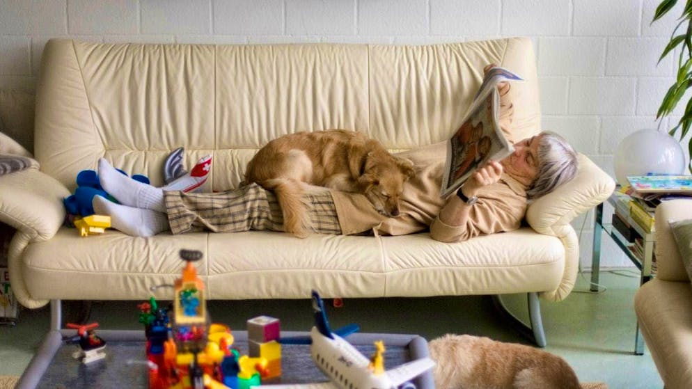 According to a study, pets make people less happy than previously assumed. (archive image)