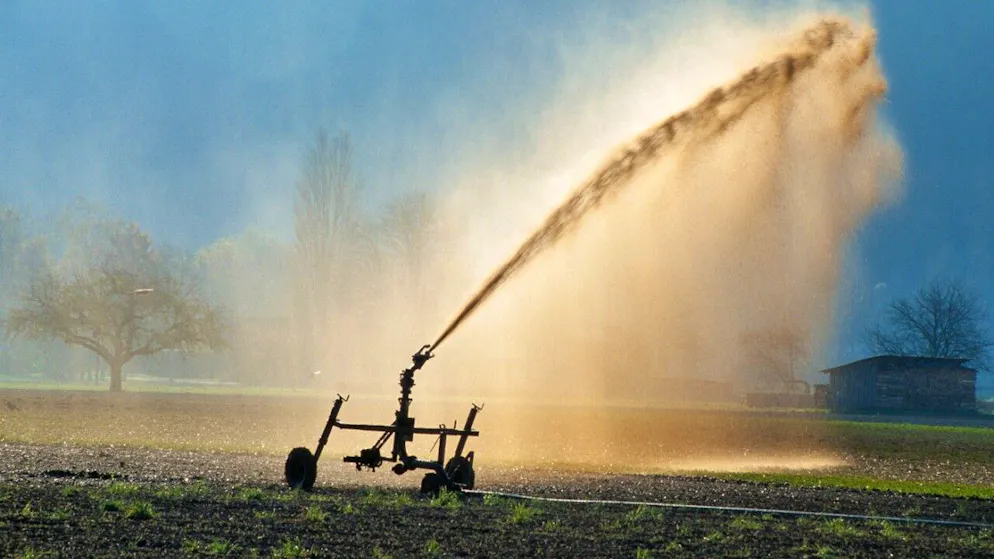 Im Kanton Aargau soll die Landwirtschaft mit der Gülleausbringung weniger Stickstoff in Form des Gases Ammoniak in die Umwelt bringen. Die Zahl der Tiere will der Regierungsrat jedoch nicht reduzieren. (Symbolbild)