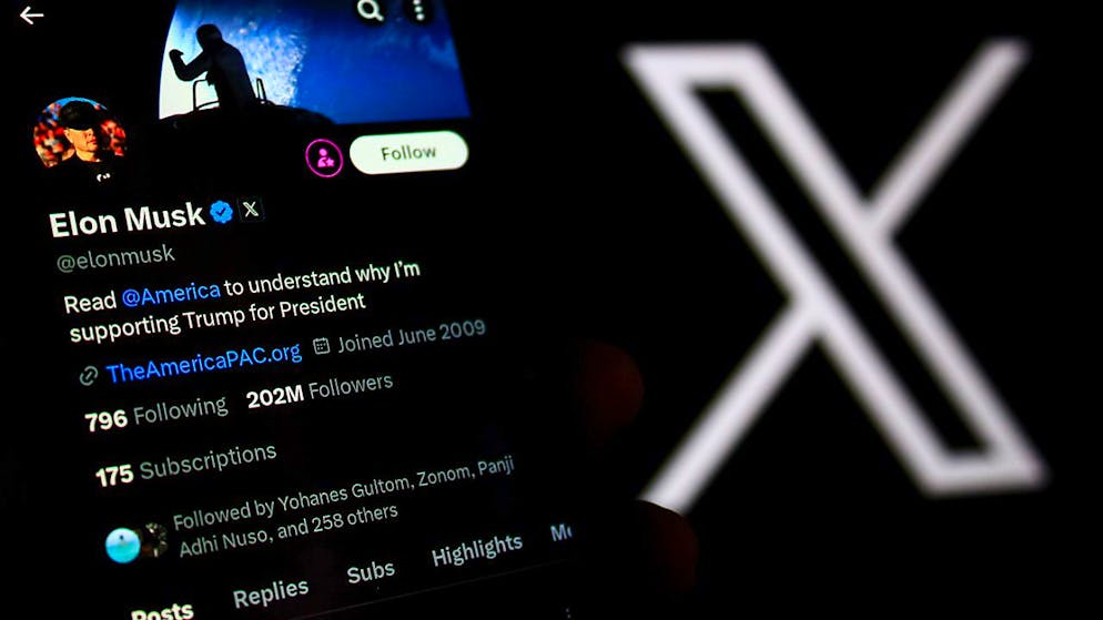 ARCHIV - Auf seiner Plattform X schrieb  Elon Musk: «Only the AfD can save Germany.» Foto: Algi Febri Sugita/ZUMA Press Wire/dpa