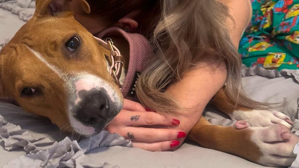 Ecco cosa rappresenta. Kate Cassidy mostra un tatuaggio dedicato al defunto fidanzato Liam Payne