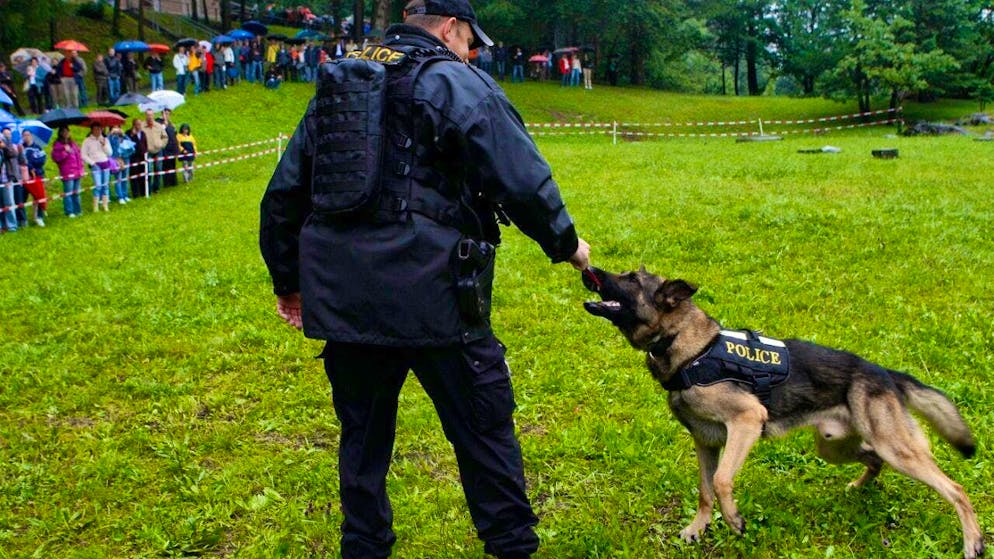 This incident shows "the effectiveness of police dogs in complex situations", explained the Valais cantonal police. (symbolic image)