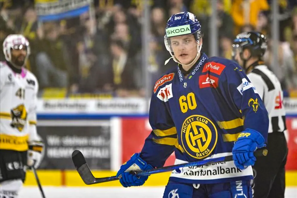Julius honka