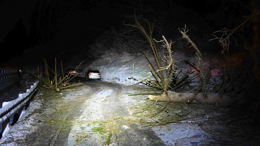 Baum stürzte in Chur auf fahrendes Auto.