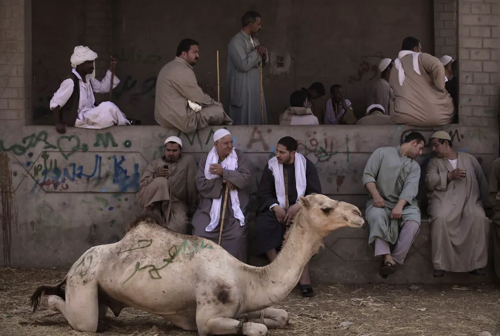 Le pays est écrasé par sa dette extérieure – près de 165 milliards de dollars – et traverse actuellement la pire crise économique de son histoire avec un besoin accru d'aide financière dans un contexte d'inflation galopante. (image d'illustration)