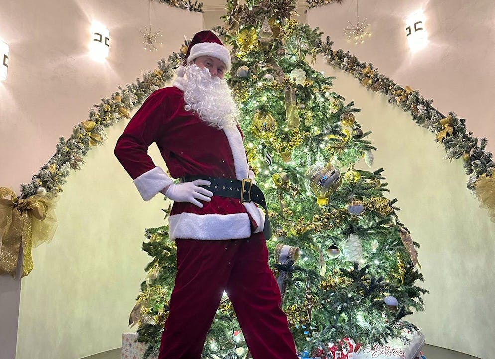 La foto postata da Musk a Natale