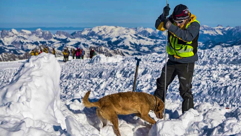 Avalanche rescue teams and a search dog in a race against time. (archive picture)