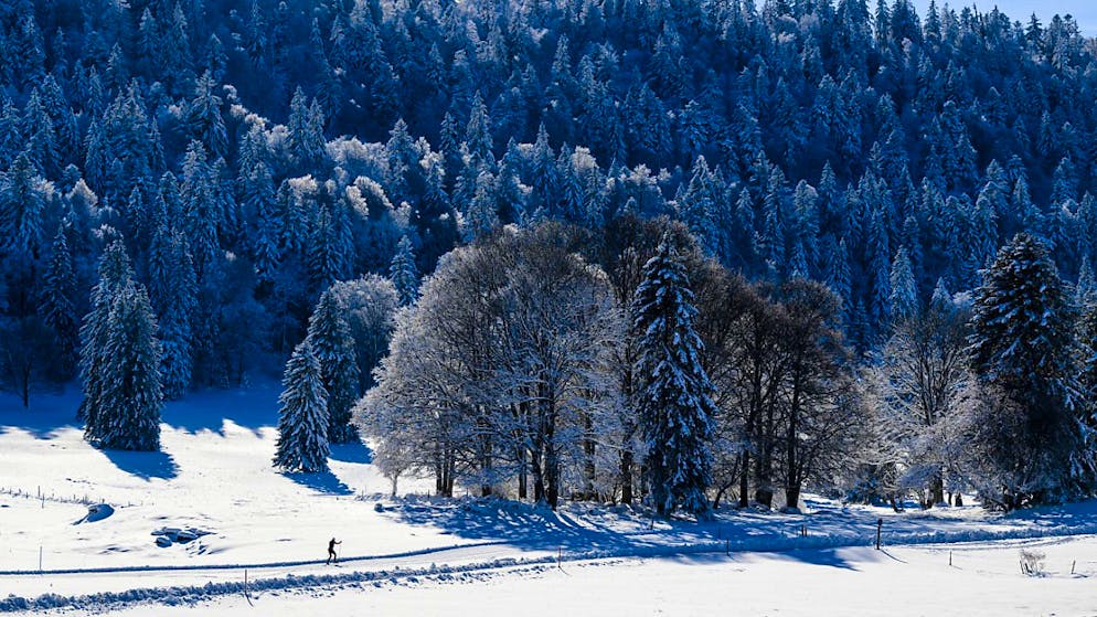 Ski de fond. L'accès aux pistes gratuit jeudi en Suisse romande