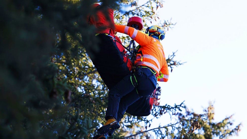 Chute de Sarrazin. «Réveillé, conscient» : opération réussie, le soulagement après la peur