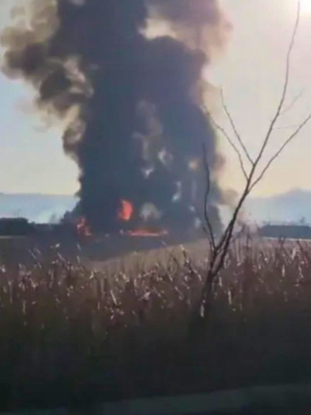 Flugzeugunglück in Südkorea. Auf den sozialen Medien kursieren Bilder des Unfalls.