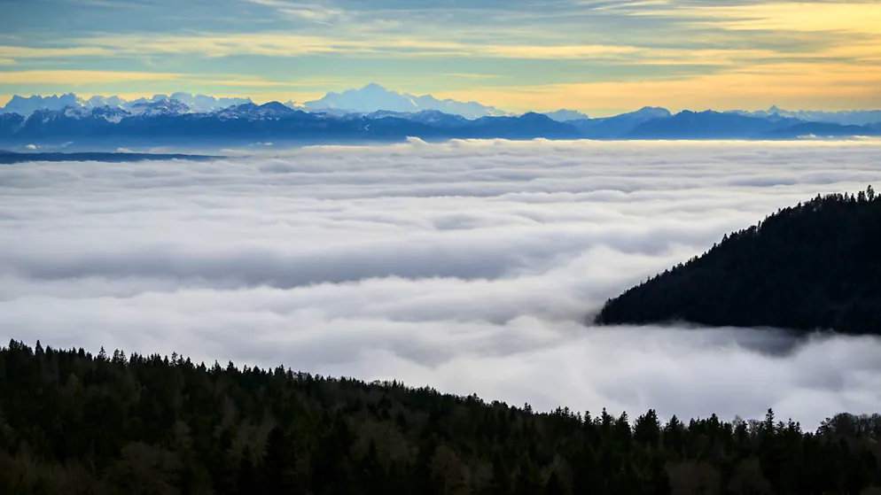 Le Plateau est un terrain propice au brouillard en automne et en hiver (image prétexte).